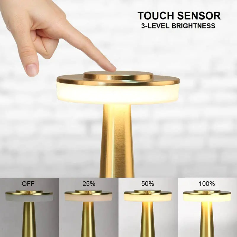 LED Desk Lamp